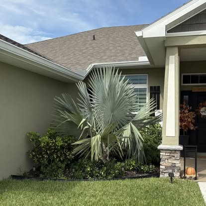 Trimmed landscaping at a Florida home entrance