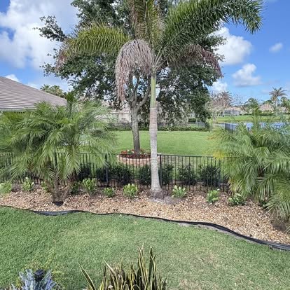 Freshly installed mulch around palm trees in Florida