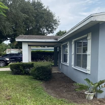 Professionally trimmed palm trees in Florida landscape