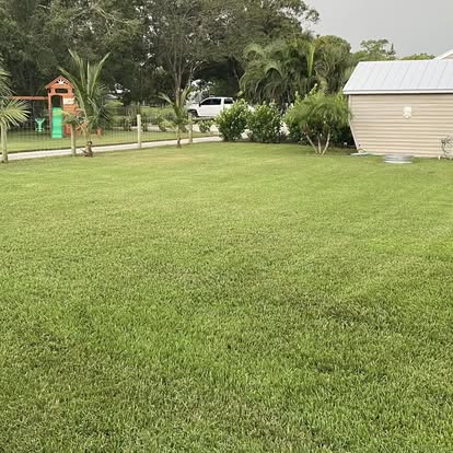 Freshly mowed large Florida lawn